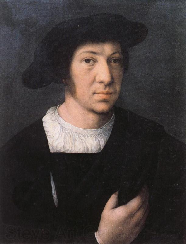 Bernard van orley Portrait of a Man France oil painting art